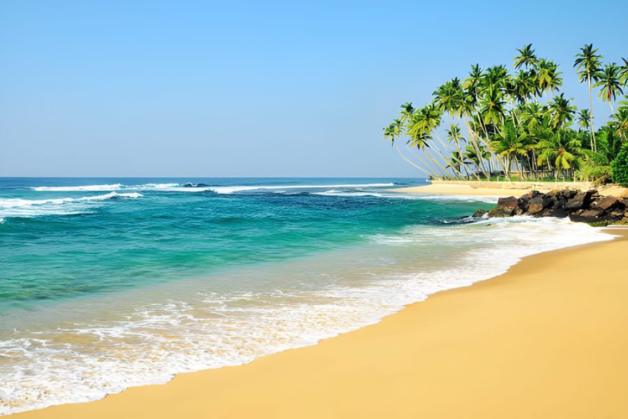 3 Days – Sri Lanka Beach Paradise Tour